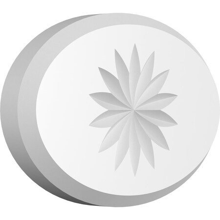 Ekena Millwork Standard Dalton Flower Rosette With Beveled Edge, 6"W x 4"H x 3/4"P ROSP060X040X075DAL10